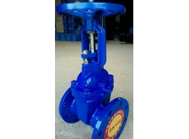 Z41T-16 銅芯銅桿閘閥 防護(hù)閥